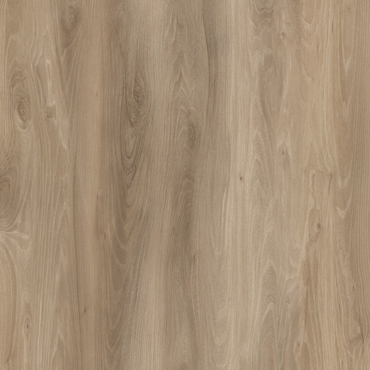 Lucida USA (Sample) BaseCore Honey Brown Wood Look 12-mil Peel and Stick Luxury Vinyl Plank