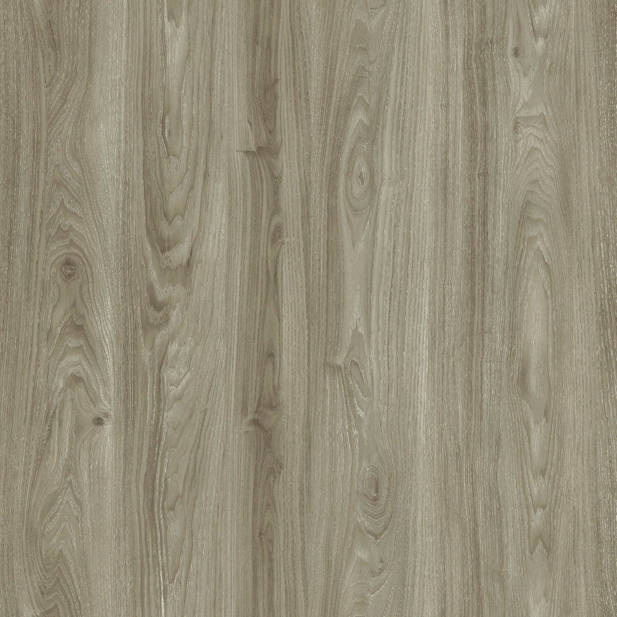 Lucida USA PresCore Toasted Gray 12-mil x 6-in W x 36-in L Waterproof Glue Down Luxury Vinyl Plank Flooring (54-sq ft/ Carton)