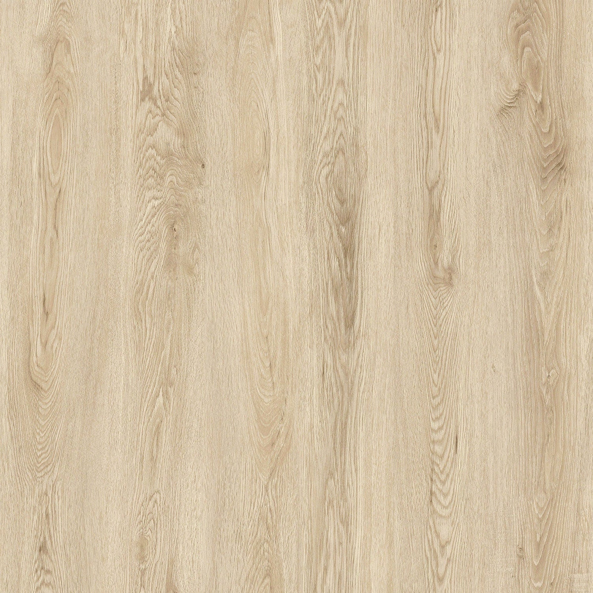 Lucida USA PresCore Blonde Brown 12-mil x 6-in W x 36-in L Waterproof Glue Down Luxury Vinyl Plank Flooring (54-sq ft/ Carton)