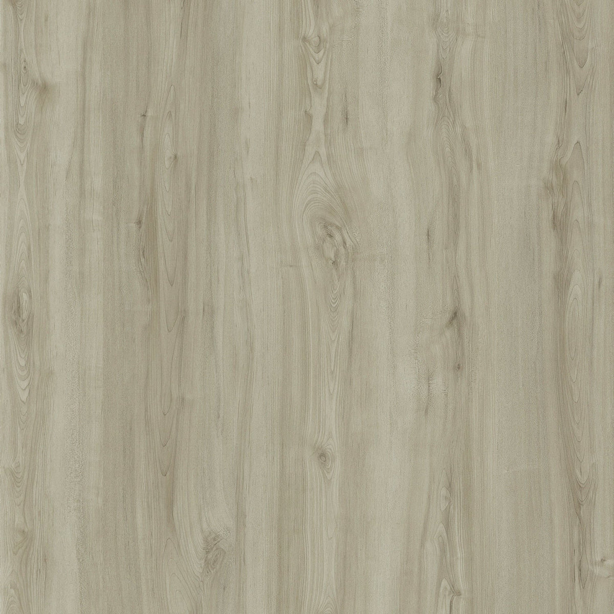 Lucida USA (Sample) PresCore Clay Brown Wood Look 12-mil Water Resistant Glue Down Vinyl Tile
