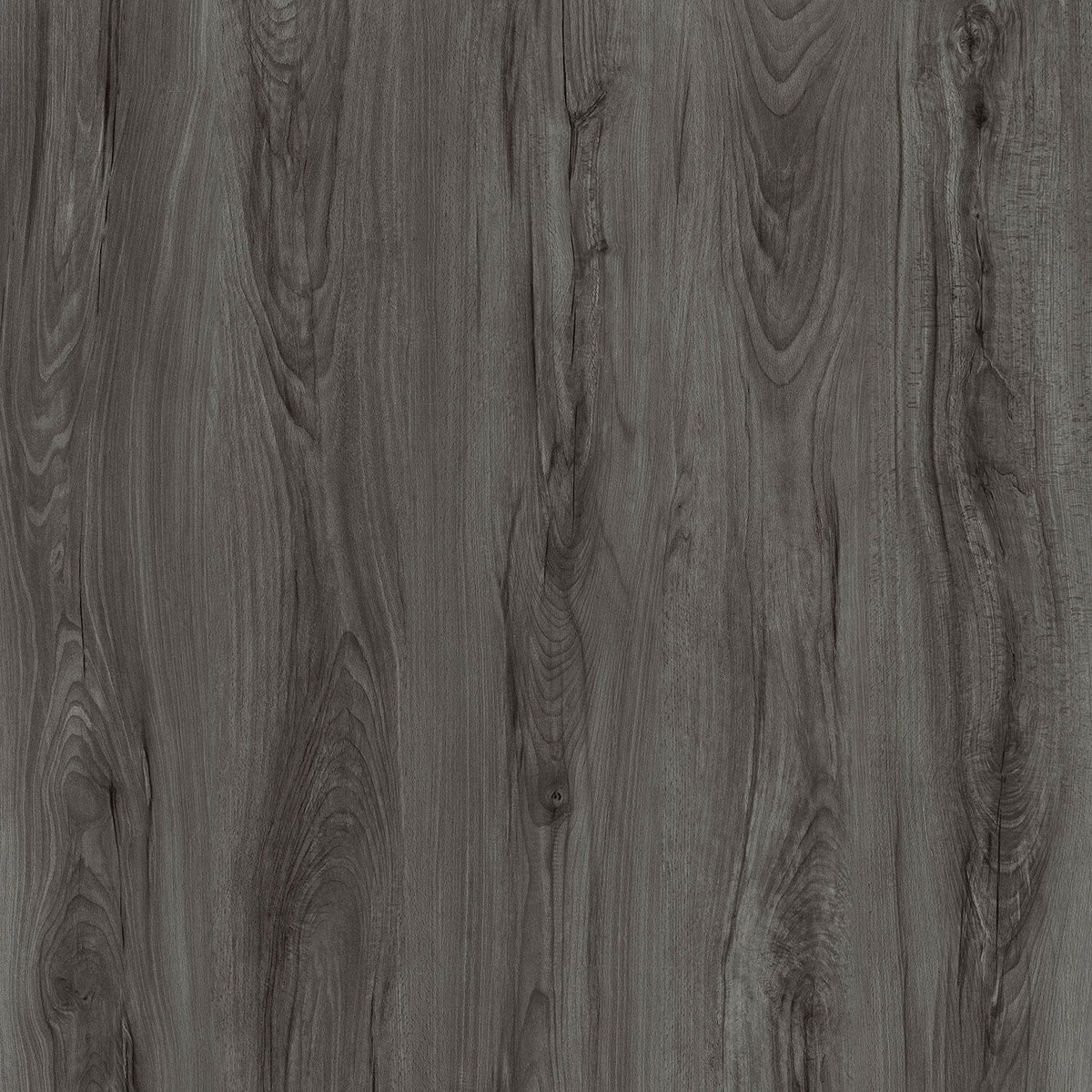 Lucida USA (Sample) PresCore Weathered Gray Wood Look 12-mil Water Resistant Glue Down Vinyl Tile
