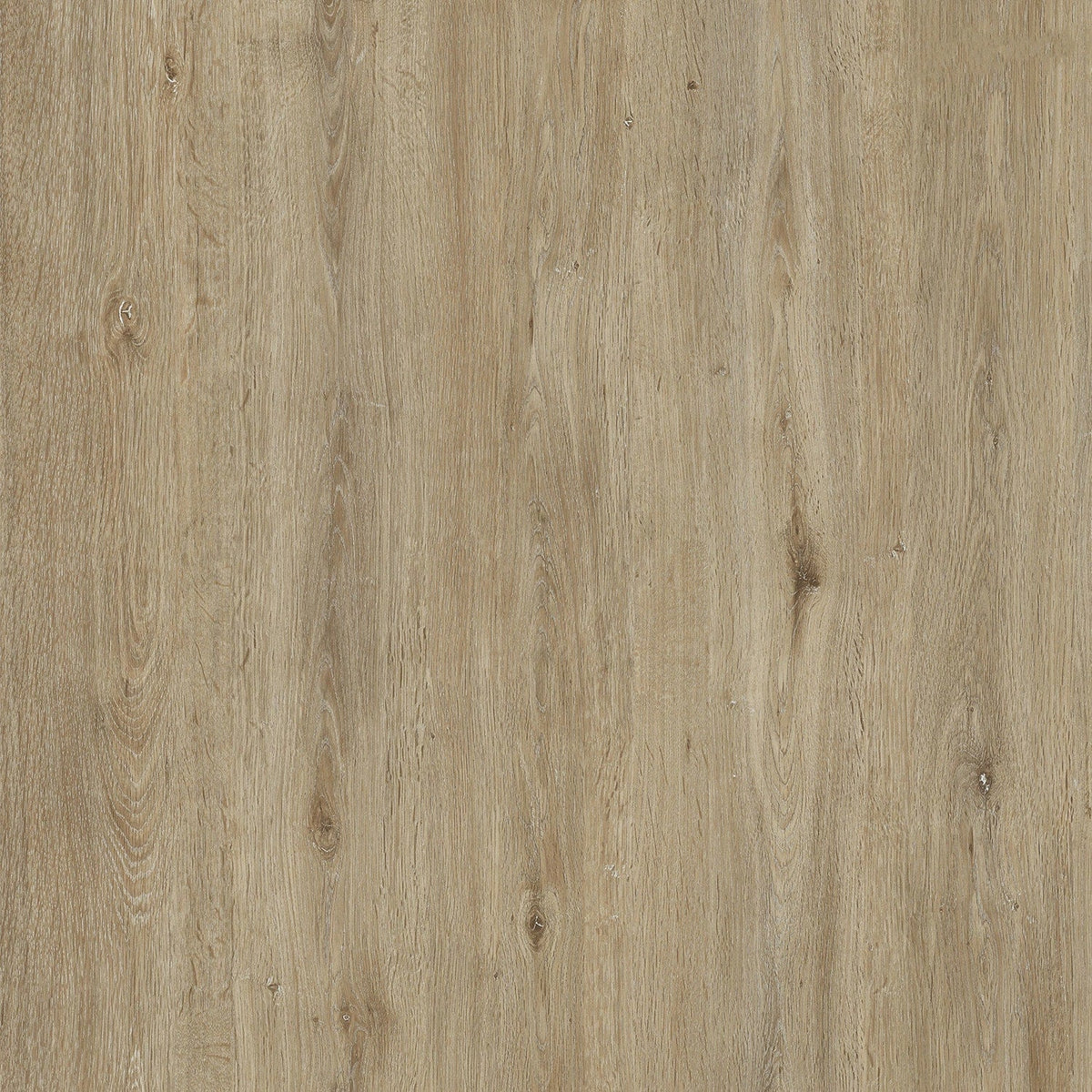 Lucida USA (Sample) PresCore Straw Brown Wood Look 12-mil Water Resistant Glue Down Vinyl Tile
