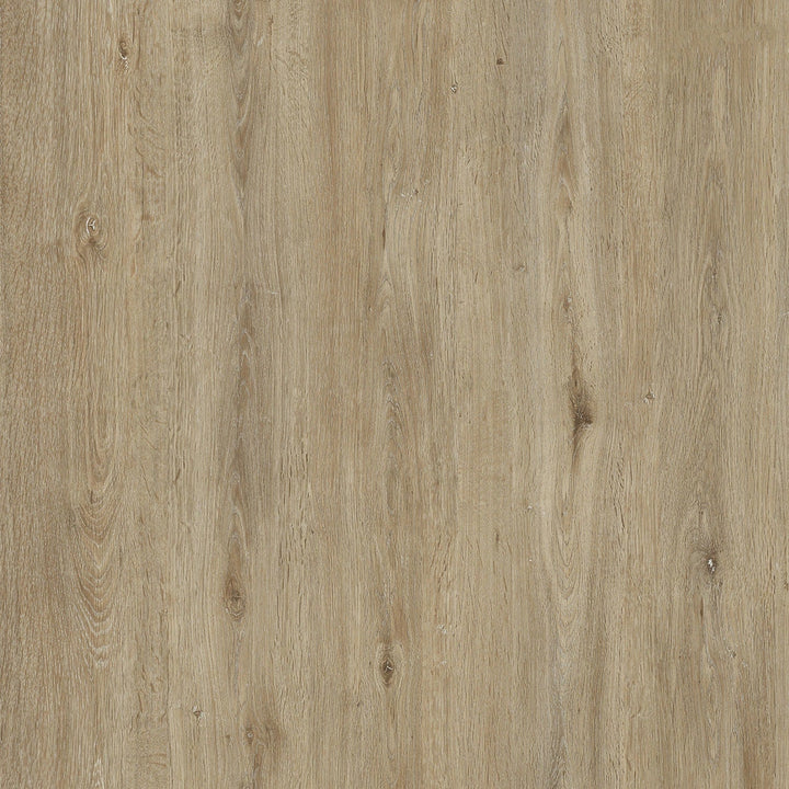 Lucida USA PresCore Straw Brown 12-mil x 6-in W x 36-in L Waterproof Glue Down Luxury Vinyl Plank Flooring (54-sq ft/ Carton)
