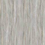 Lucida USA (Sample) BaseCore Winter Gray Wood Look 12-mil Peel and Stick Luxury Vinyl Plank