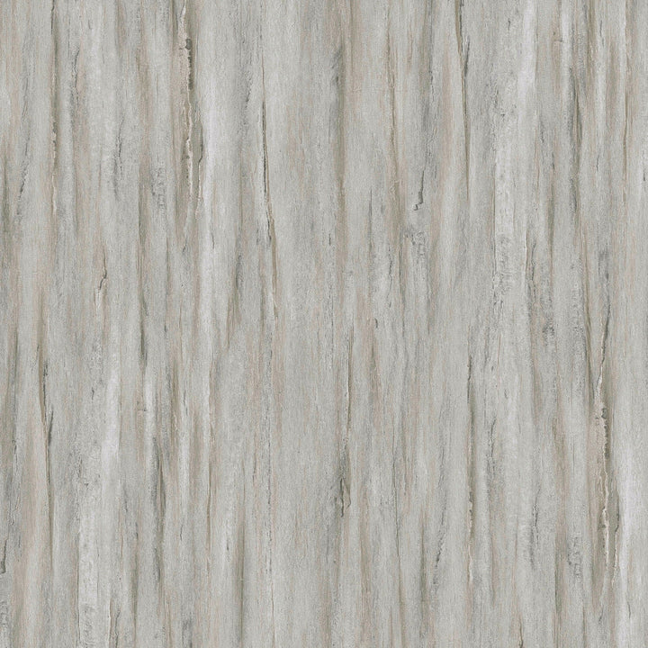Lucida USA (Sample) BaseCore Winter Gray Wood Look 12-mil Peel and Stick Luxury Vinyl Plank