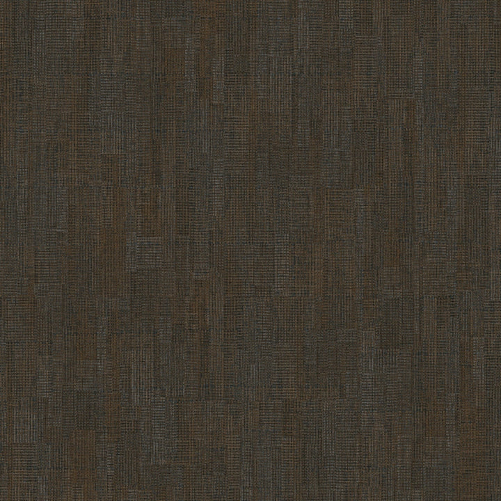 Lucida USA (Sample) Gluecore Ash Gray Wood Look 22-mil Glue Down Luxury Vinyl Plank