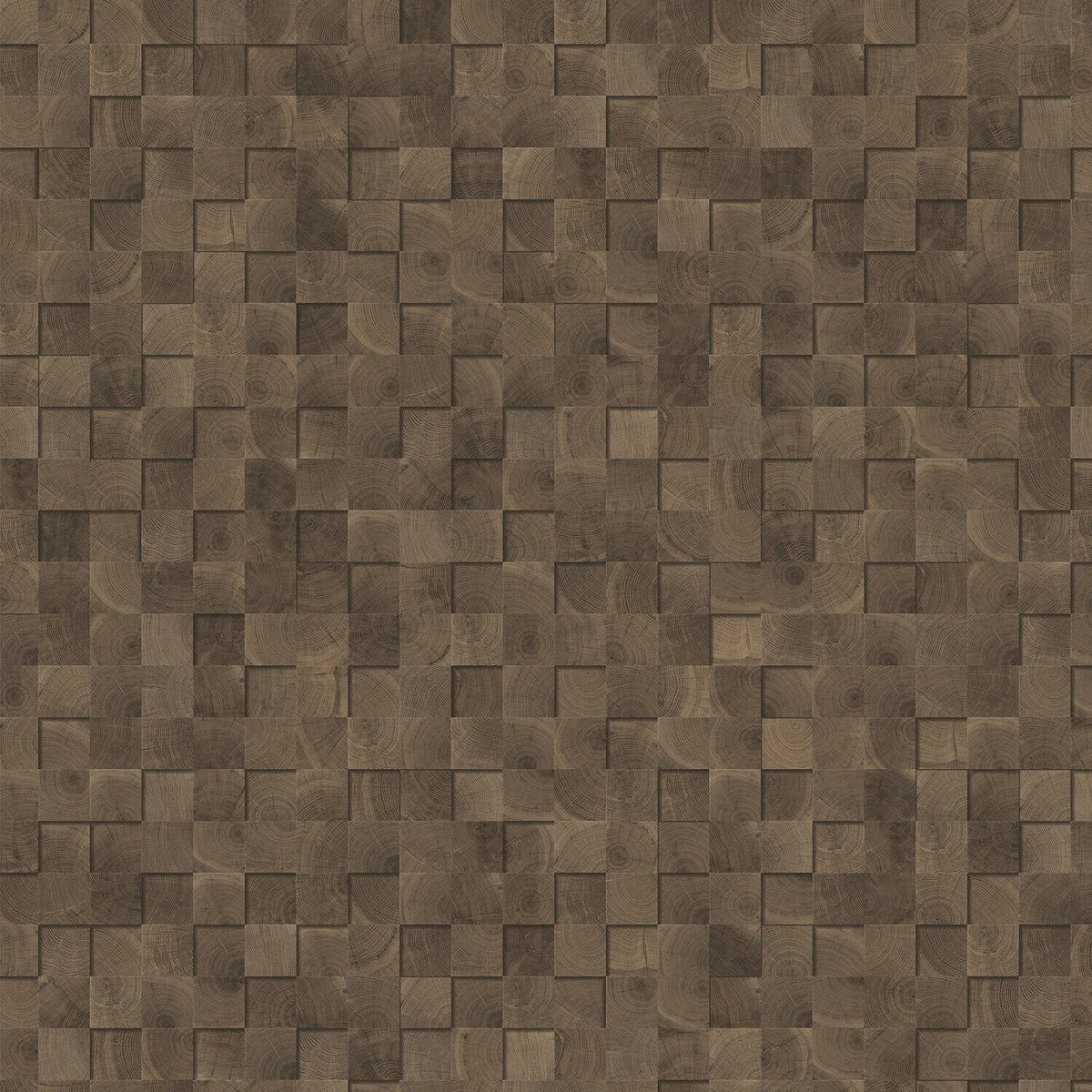 Lucida USA (Sample) Maxcore Silver Leaf Gray Wood Look 22-mil Interlocking Luxury Vinyl Plank