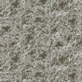 Lucida USA (Sample) MosaiCore Celestial Stone Gray Stone Look 28-mil Waterproof Glue Down Vinyl Tile