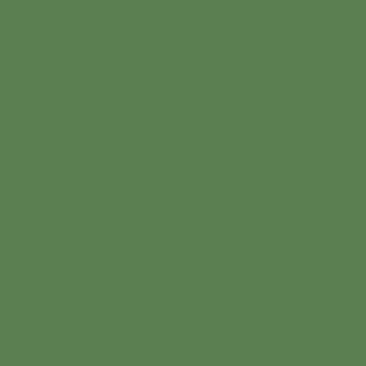 Lucida USA MonoCore Chimichurri 5-4/5-in W x 36-in L x 7-mm T Waterproof Interlocking Luxury Vinyl Plank Flooring, 22-mil Wear Layer (13-sq ft/carton)