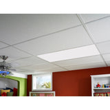 DURALENS 24-in x 48-in 7.85-sq ft Cracked Ice Ceiling Light Panels