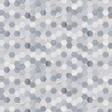 Satori Palissandro 12-in x 12-in Polished Natural Stone Look Hexagon Mosaic Floor and Wall Tile (0.96-sq. ft/ Piece)