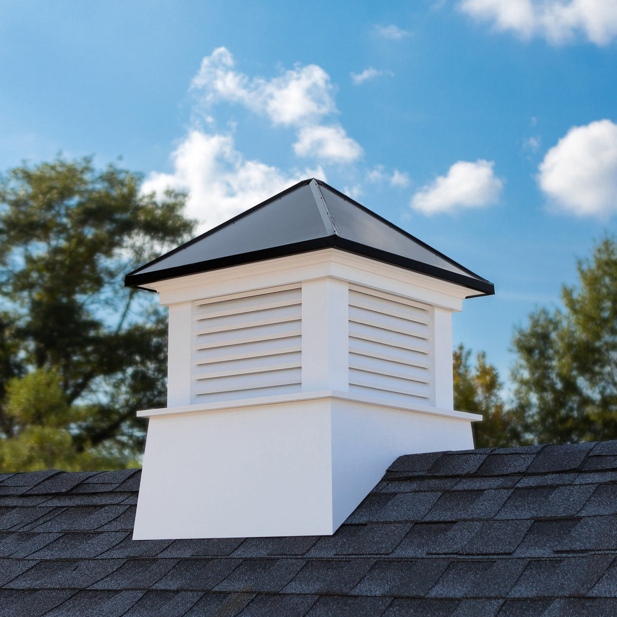 Good Directions Manchester 22-in x 29-in Black Vinyl Cupola with Aluminum Roof
