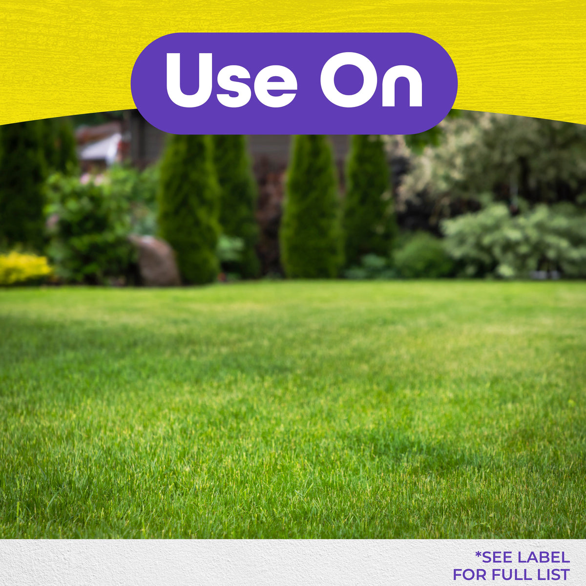 Bonide MoleMax Sonic Stake Animal Repellent for Moles & Gophers, Battery-Operated