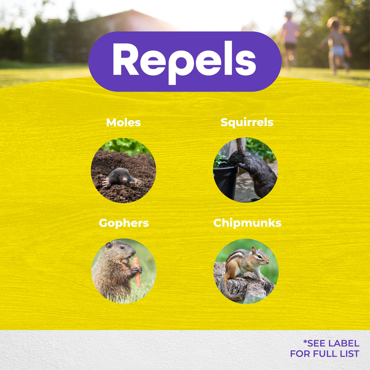 Bonide MoleMax Sonic Stake Animal Repellent for Moles & Gophers, Battery-Operated