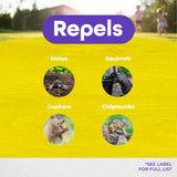 Bonide MoleMax Sonic Stake Animal Repellent for Moles & Gophers, Battery-Operated