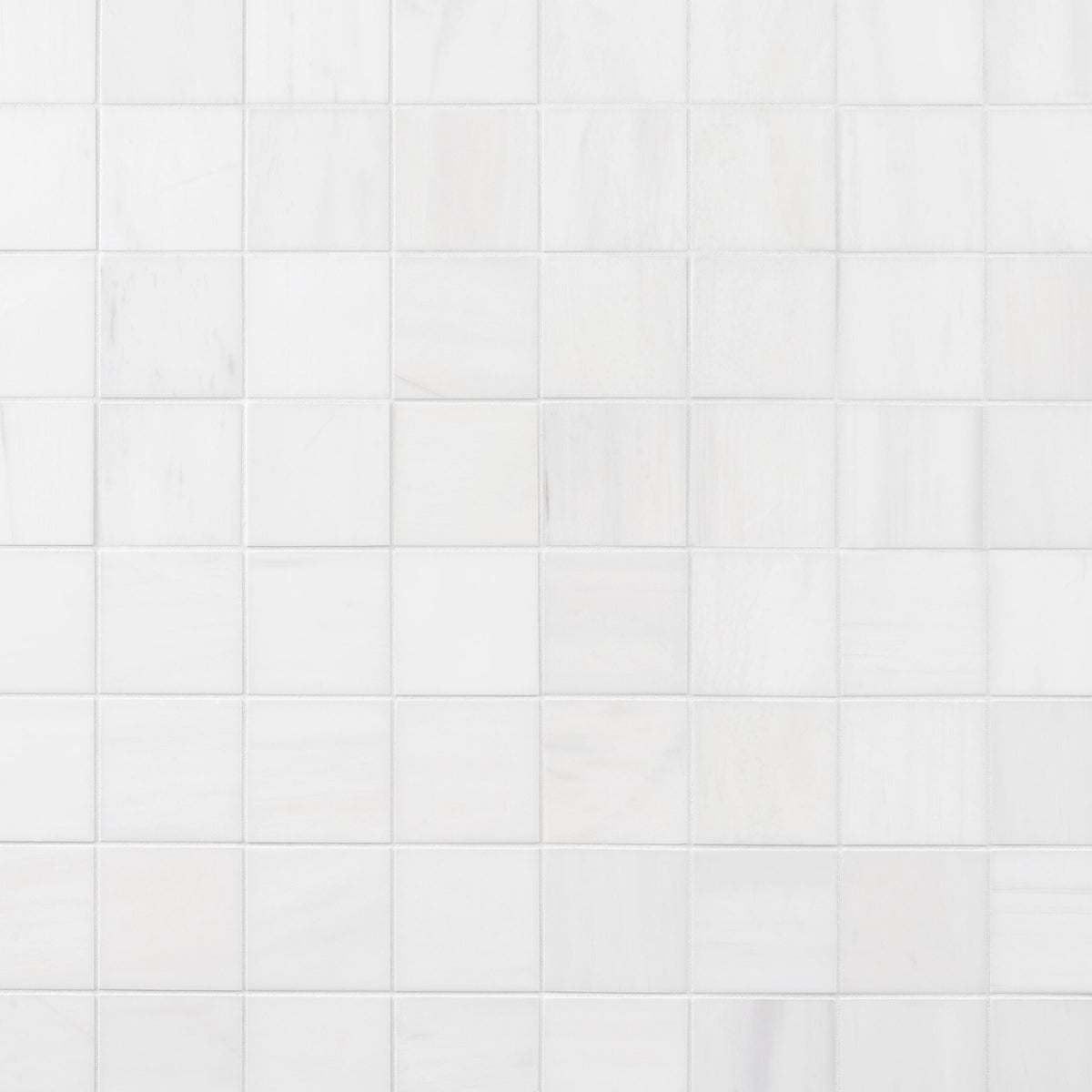 Artmore Tile Bianco Dolomite White 12-in x 12-in Honed Natural stone Marble Marble look Mosaic Floor and Wall Tile product image