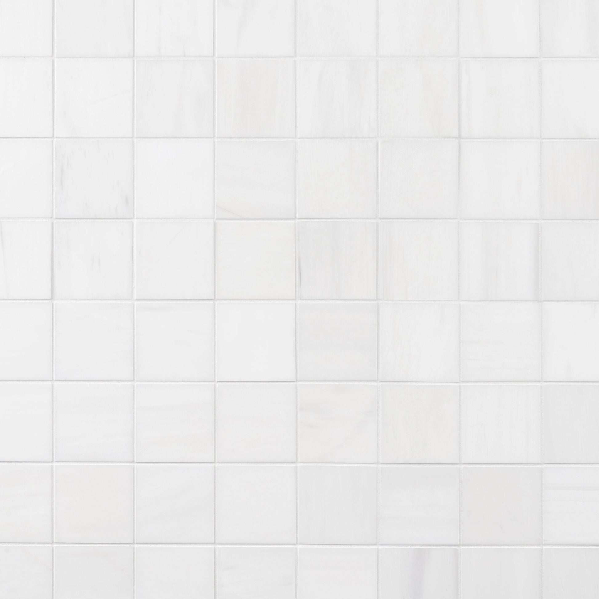 Artmore Tile Bianco Dolomite White 12-in x 12-in Honed Natural stone Marble Marble look Mosaic Floor and Wall Tile product image