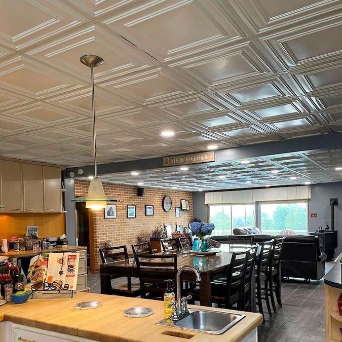 From Plain to Beautiful in Hours 2-ft x 2-ft Economy White PVC Drop Ceiling Tile (10-Pack, 40-sq ft / Case)