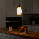 Portfolio Matte Black Transitional Teardrop Pendant Light