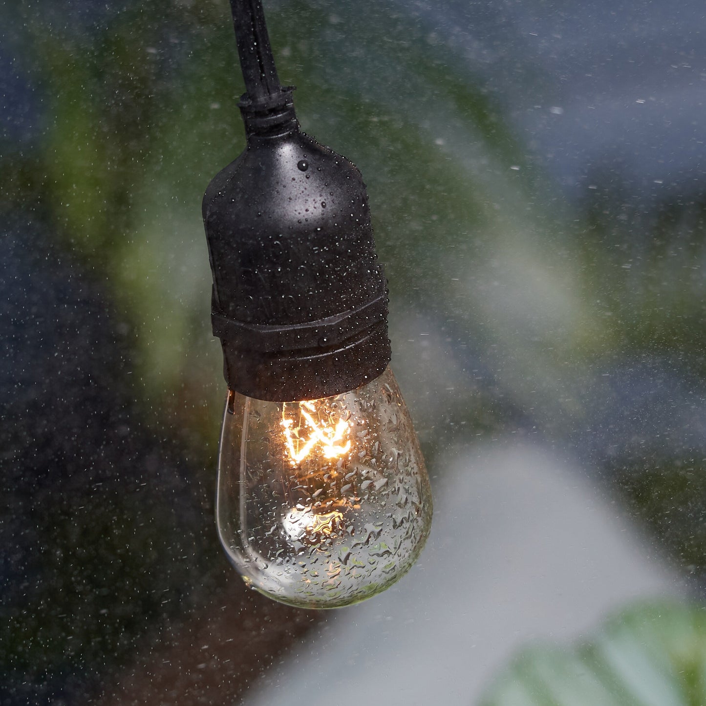 Portfolio 24-ft 12-Light Plug-In Bulbs String Lights