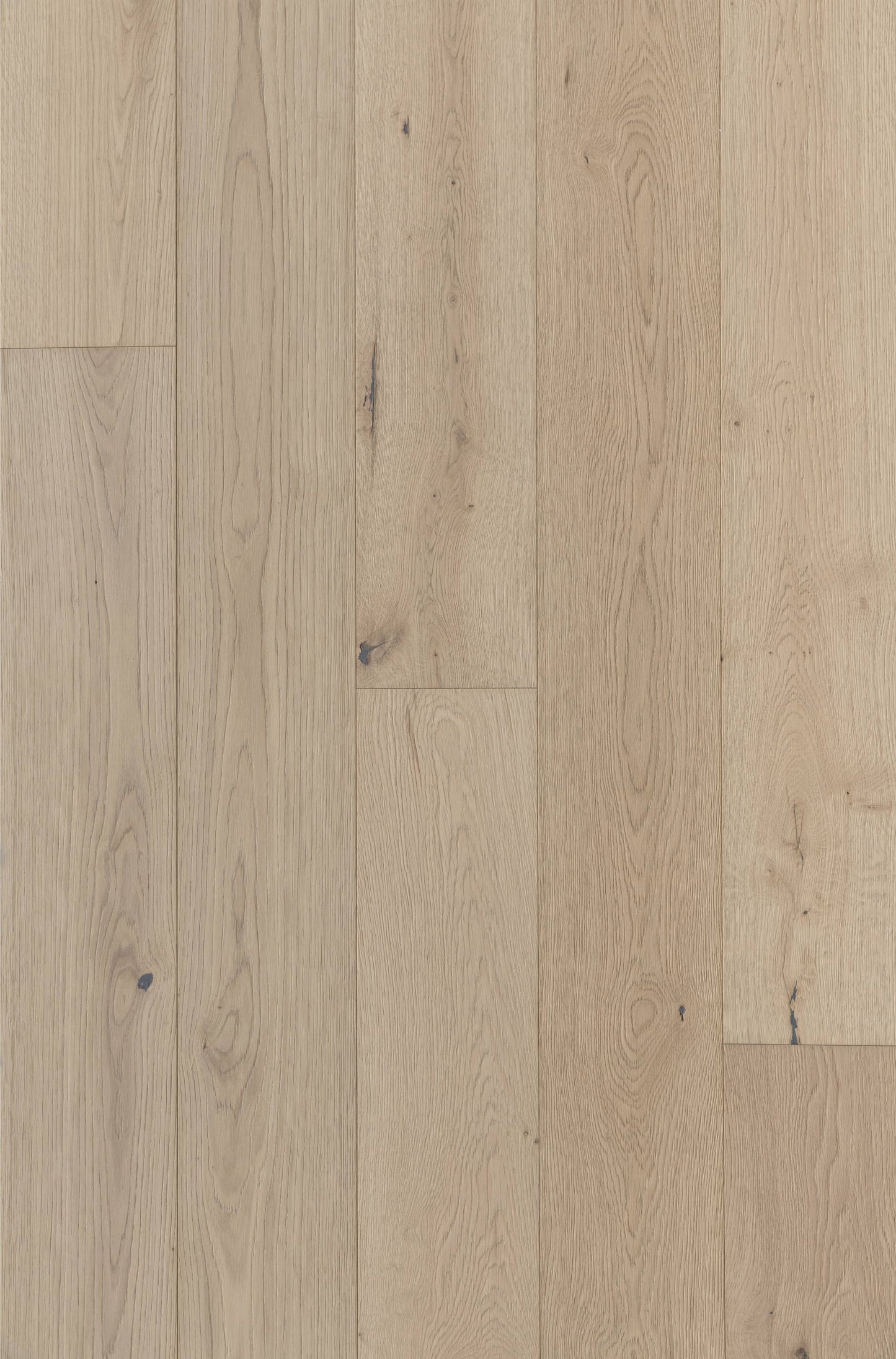 Villa Barcelona White oak Velazquez hardwood flooring — primary plank view