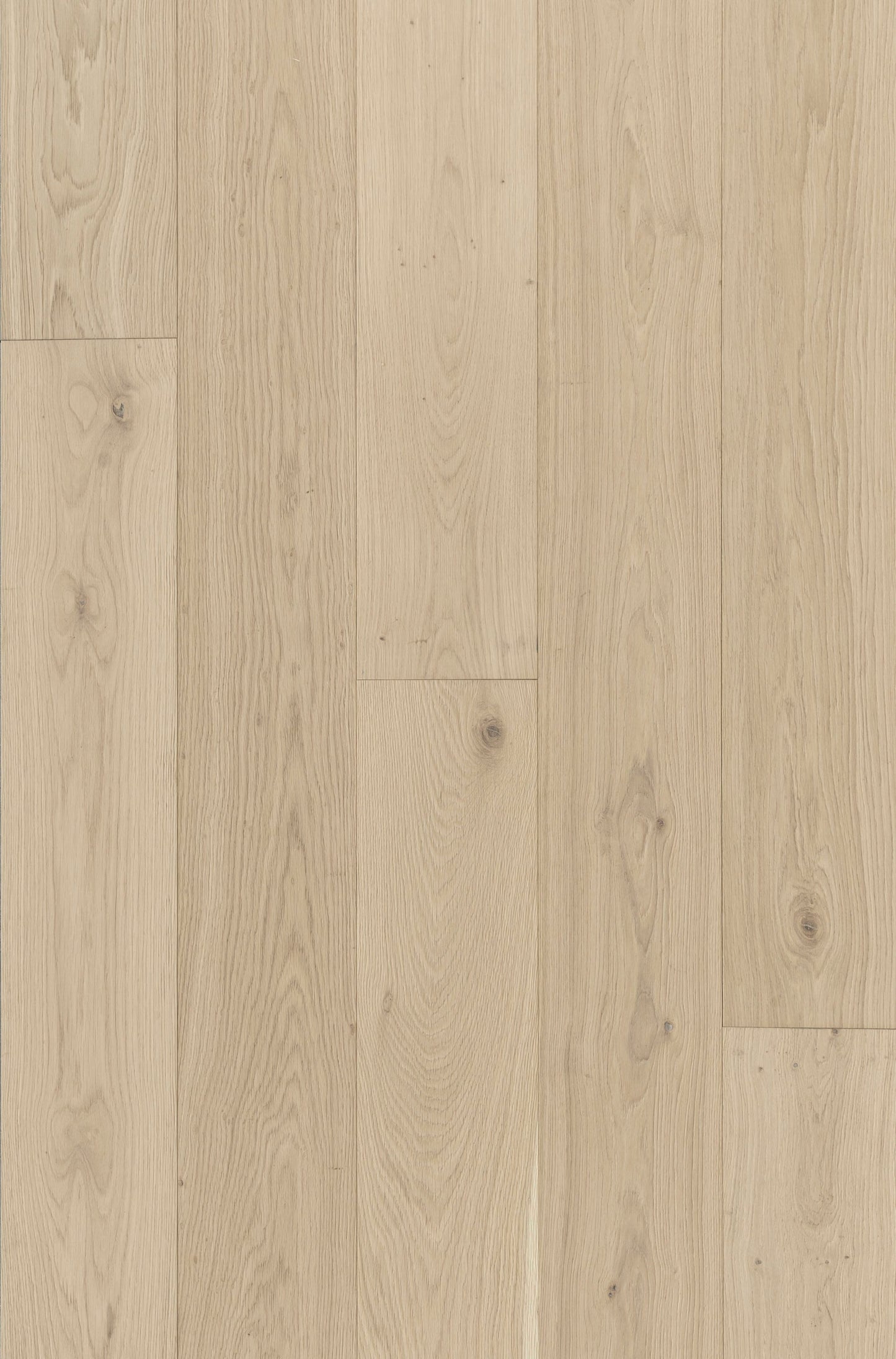 Villa Barcelona White oak Sorolla hardwood flooring — primary plank view