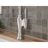 Arsdale Single-Handle Pull-Down Sprayer Kitchen Faucet with Soap/Lotion Dispenser in Vibrant Stainless - Super Arbor