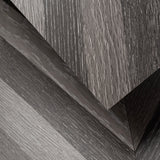 Lucida USA (Sample) BaseCore Grey Chevron Gray Wood Look 12-mil Water Resistant Peel and Stick Vinyl Tile
