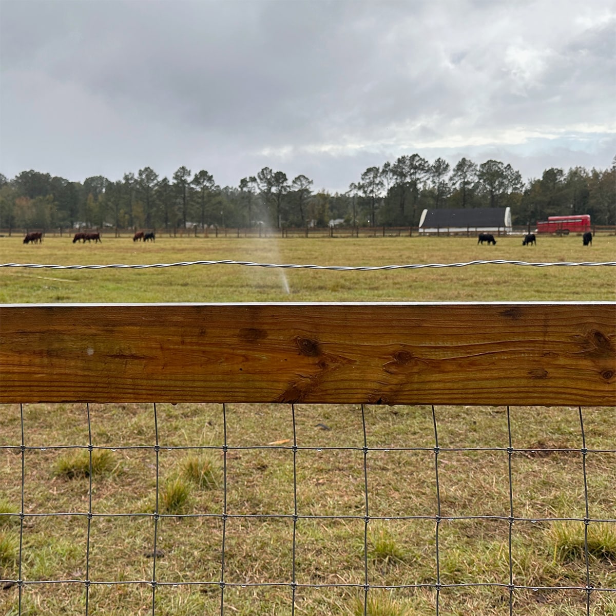 IRONRIDGE 1320-Feet Galvanized Steel Barbless Wire Rolled Fencing