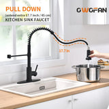 OWOFAN Black Kitchen Faucet with Pull Down Sprayer - Stainless Steel, Single Handle, Dual Function
