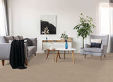 STAINMASTER Beatitude Elsewhere Textured Carpet Sample (Interior)
