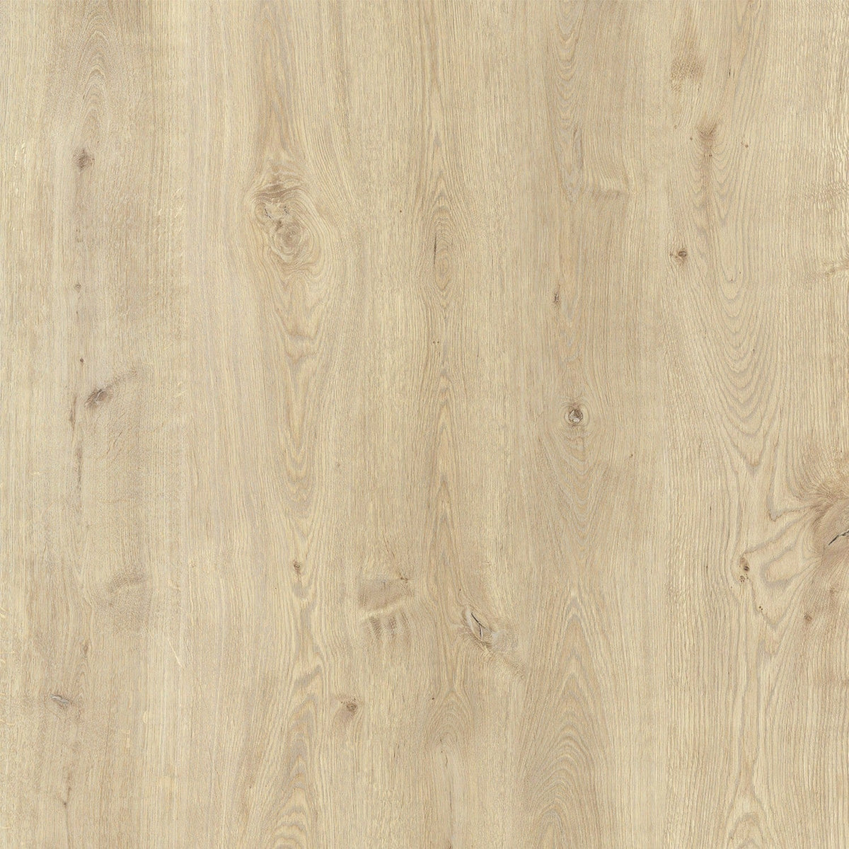 Lucida USA (Sample) MaxCore Pro Natural Oak Gray Wood Look 20-mil Waterproof Interlocking Luxury Vinyl Plank