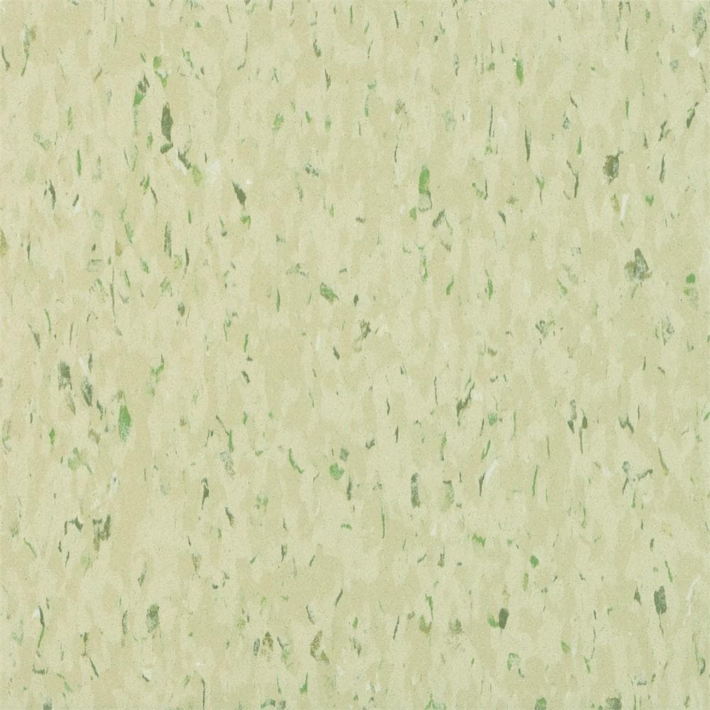 Armstrong Excelon Multi 12 in. x 12 in. Mint Masquerade Vinyl Tile Flooring (45 sq. ft. / case)