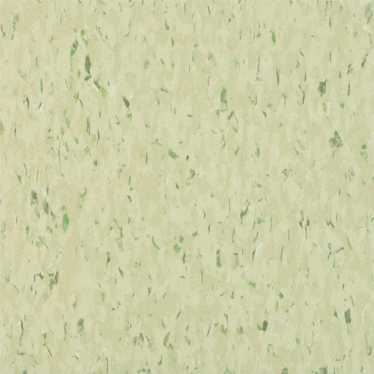 Armstrong Excelon Multi 12 in. x 12 in. Mint Masquerade Vinyl Tile Flooring (45 sq. ft. / case)