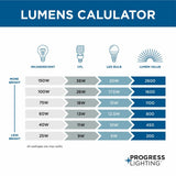 Progress Lighting Squire 3-Light Black Traditional Clear Glass Lantern Mini Indoor/Outdoor Hanging Pendant Light