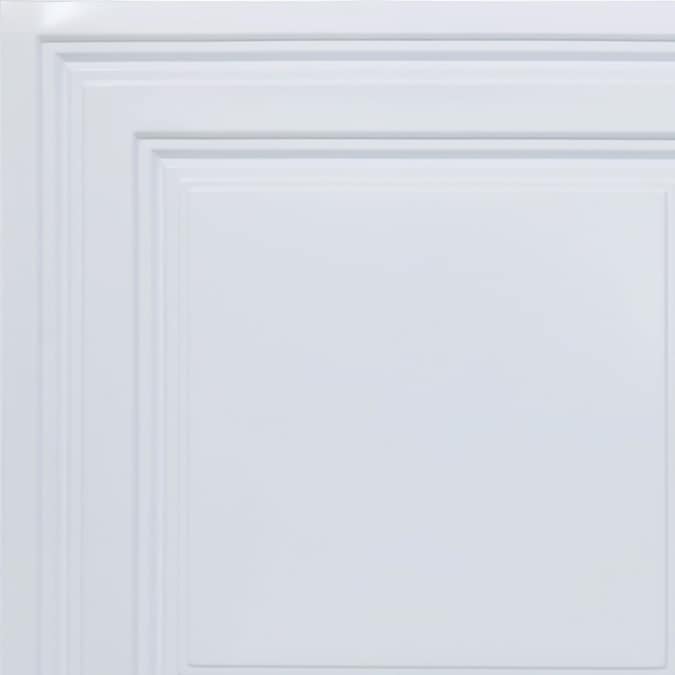 From Plain to Beautiful in Hours 2-ft x 2-ft Economy White PVC Drop Ceiling Tile (10-Pack, 40-sq ft / Case)
