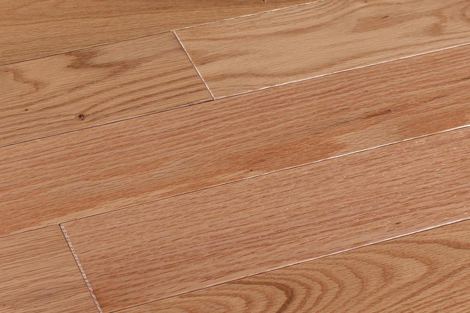 Beasley Red oak Natural hardwood flooring — installed room view