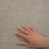 STAINMASTER Essentials Blue Diamonds II 12-ft Bleached Textured Indoor Carpet