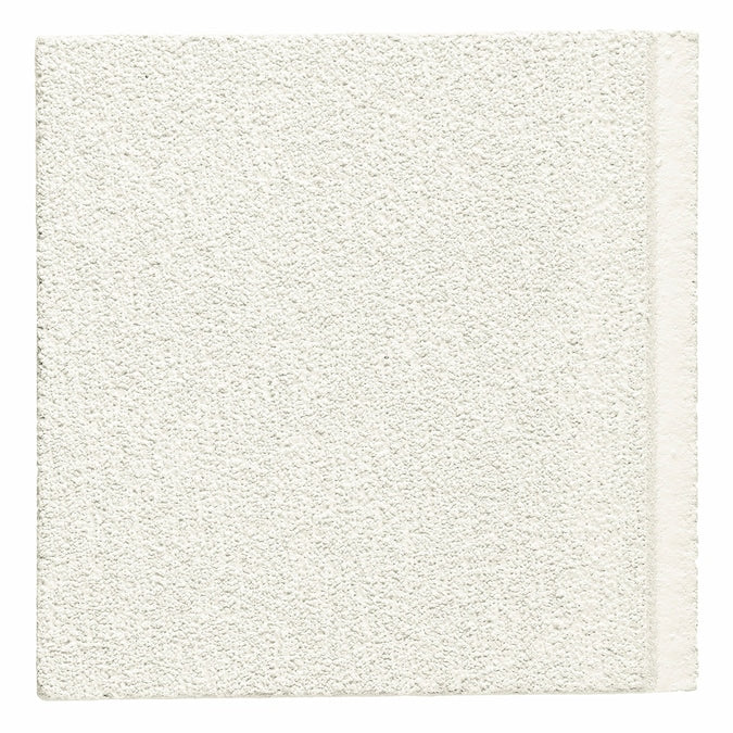 Armstrong Ceilings Oasis White Mineral Fiber Drop Ceiling Tile Sample