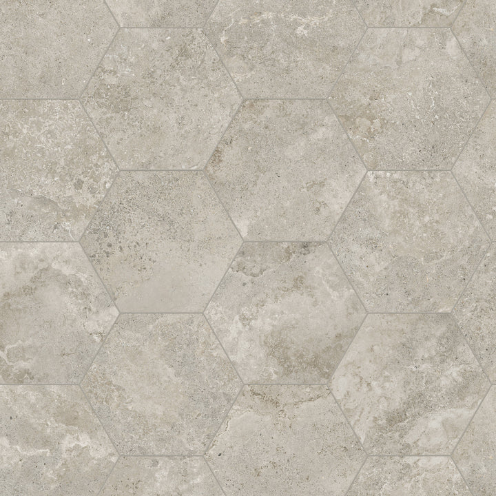 Satori Cosmo Argento 8-in x 10-in Matte Porcelain Hexagon Floor and Wall Tile (0.44-sq. ft/ Piece)
