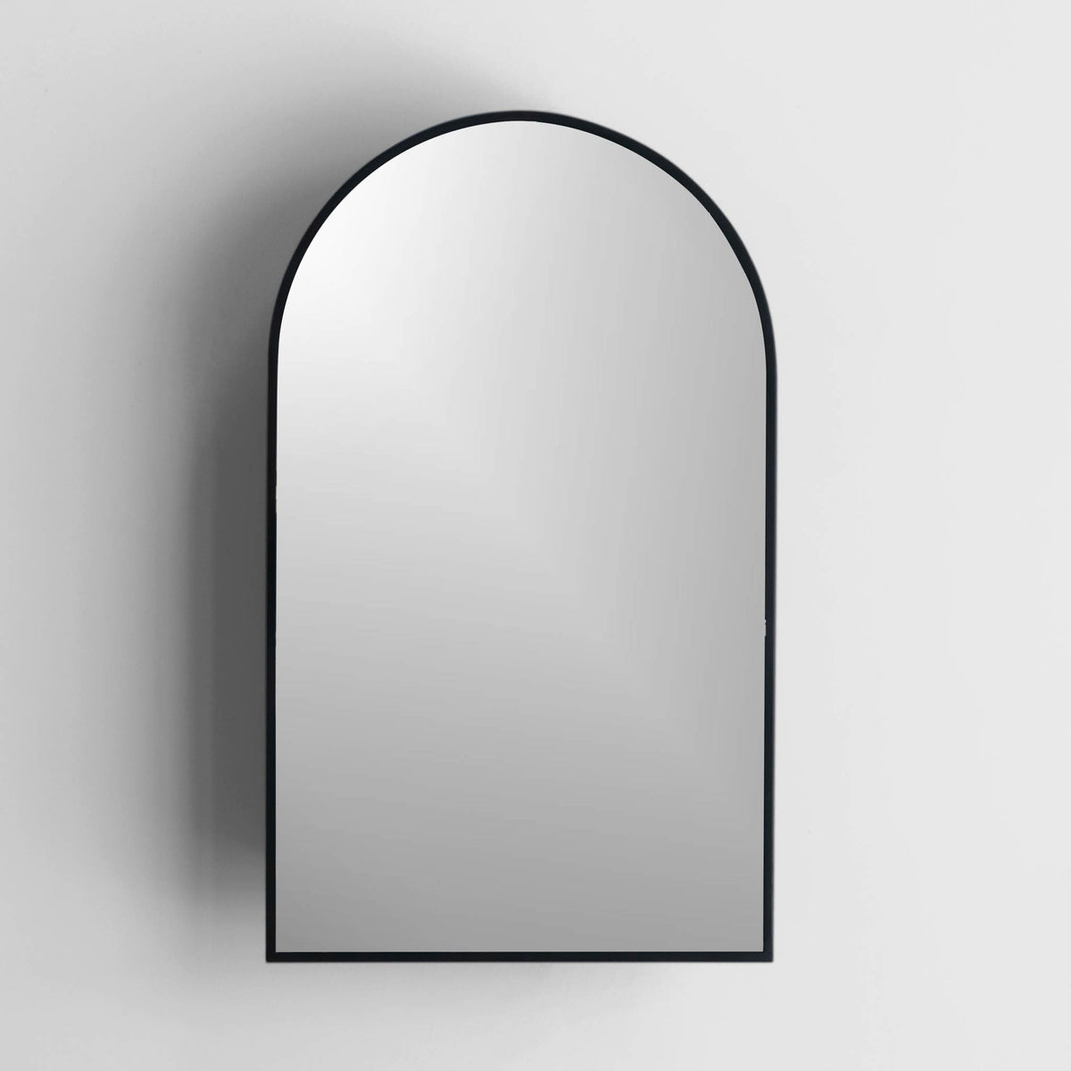 18-in x 30-in Surface Mount Black Mirrored Arched Medicine Cabinet