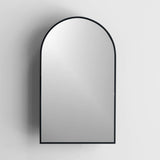 18-in x 30-in Surface Mount Black Mirrored Arched Medicine Cabinet