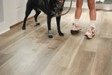 STAINMASTER PetProtect Yorktown Walnut 20-mil x 7.2-in W x 48.03-in L Waterproof Interlocking Luxury Vinyl Plank Flooring, 19.22-sq ft Carton