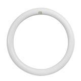 12 in. 20-Watt (32-Watt Equivalent) T9 Cool White 4100K G10Q Circline LED Light Bulb (12-Pack)