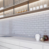 Giorbello (Sample) Glass Subway Lavender Gray 3-in x 6-in Glossy Glass Wall Tile