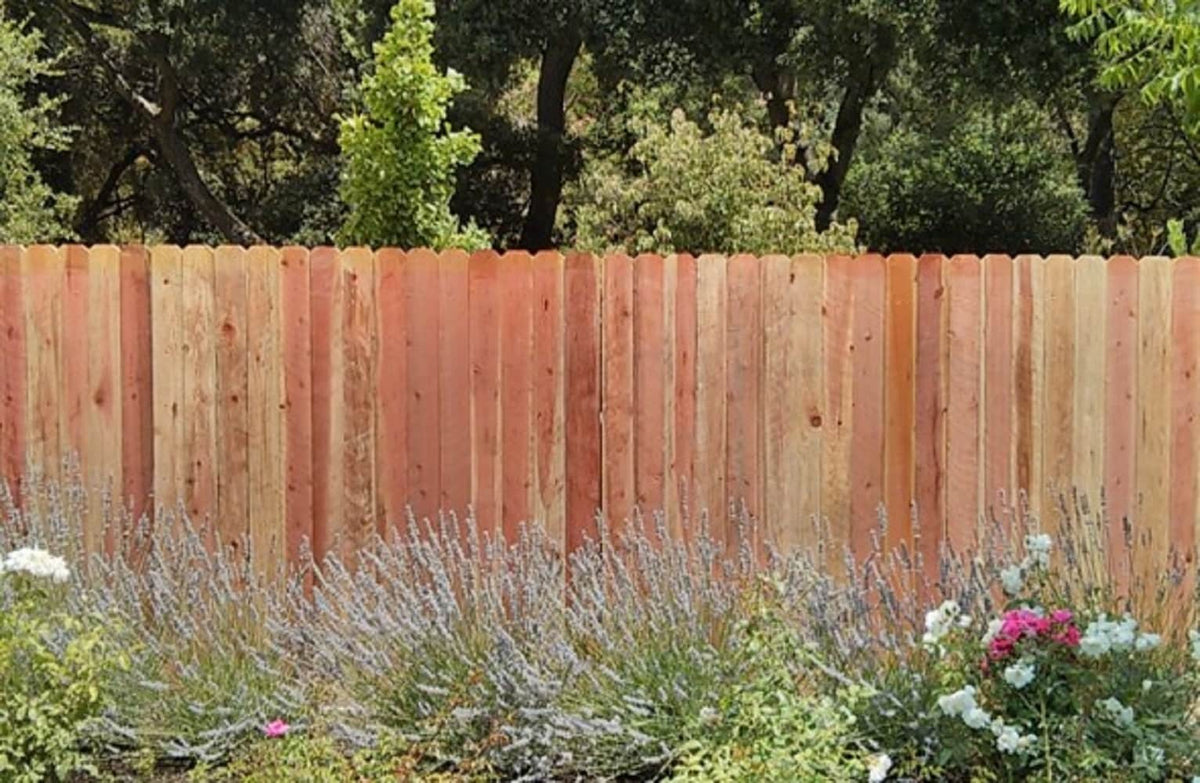 5/8-in x 5-1/2-in x 6-ft Redwood Dog Ear Fence Picket