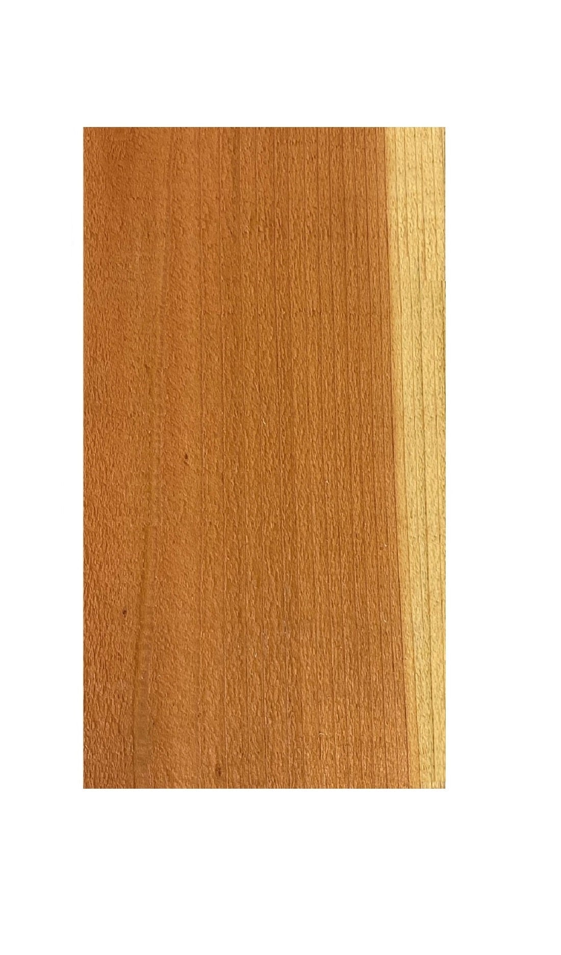 5/8-in x 5-1/2-in x 6-ft Redwood Flat-top Fence Picket