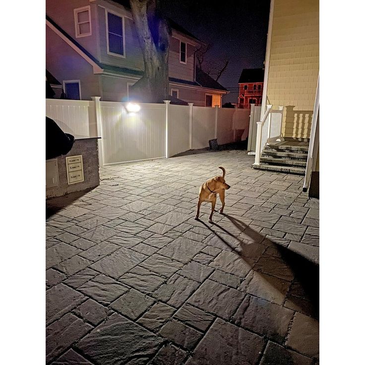 Nitelighter White Solar Powered Motion Activated Outdoor LED Area Spotlight with Daylight Sensor and 3 Adjustable Lamps