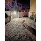 Nitelighter White Solar Powered Motion Activated Outdoor LED Area Spotlight with Daylight Sensor and 3 Adjustable Lamps