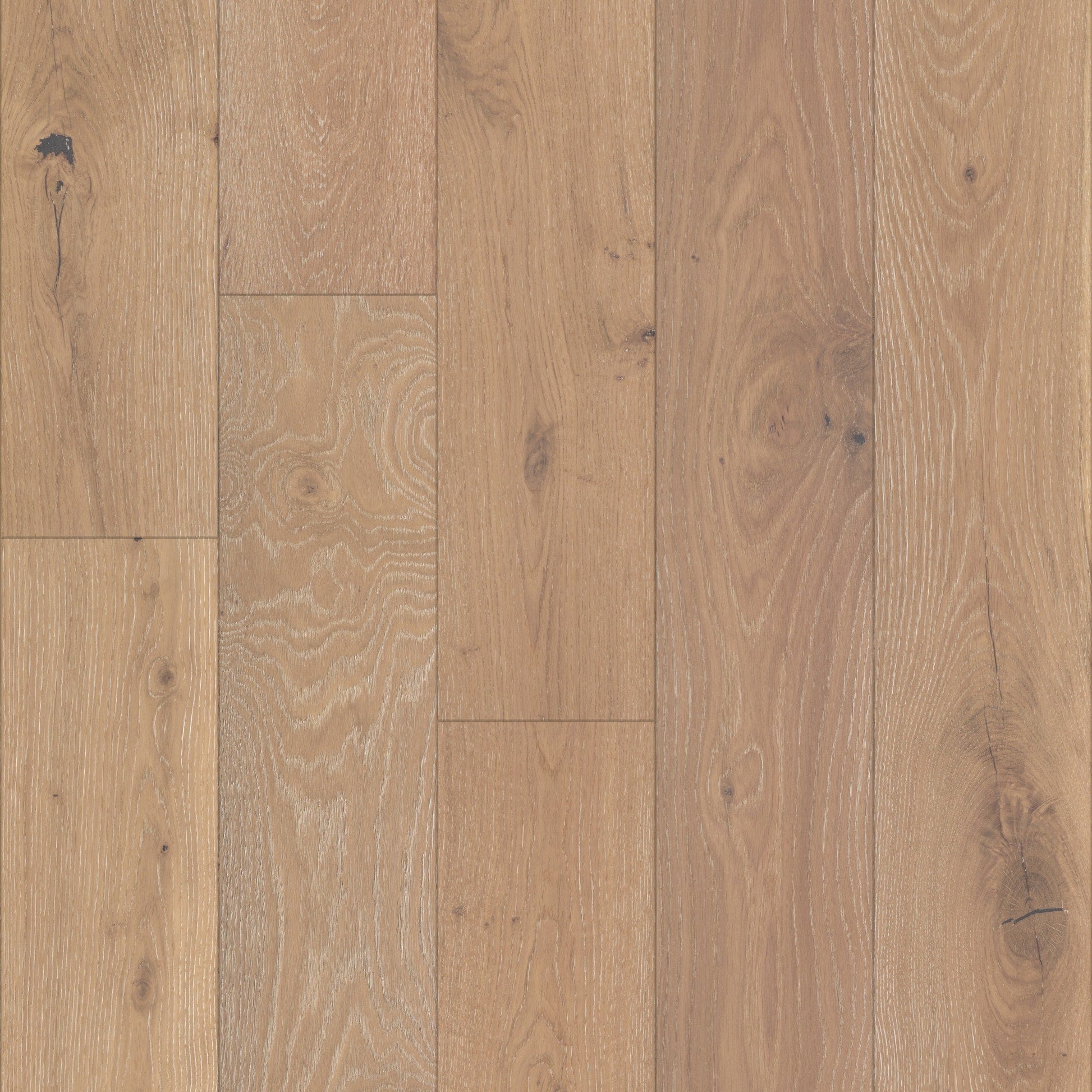Shaw Oak Parchment hardwood flooring — primary plank view
